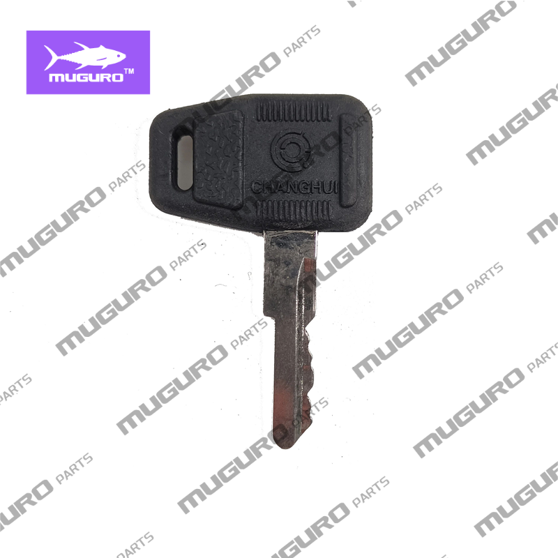 SP115882 Ключ зажигания для по – обзор и цена Heavy Equipment Keys